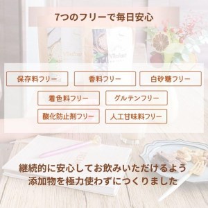 【定期便6ヶ月連続】Vitafast 乳酸菌プロテイン きなこ&ココア味 各1袋×6ヶ月  計12袋 シェイカー1個付き