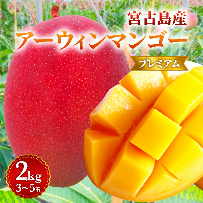 【ふるさと納税】宮古島産プレミアムマンゴー2kg ＜リトルグローブ＞（LT006）