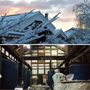 SA2780　【新酒飲み比べ】初孫　しぼりたてセット「出羽燦々しぼりたて大吟醸」「純米吟醸しぼりたて寒すばる」　計2本(各720ml×1本)