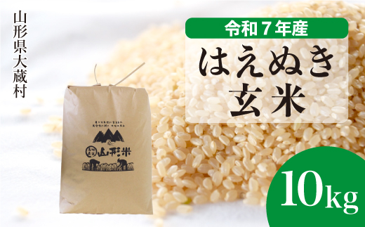 
                  ＜令和7年産＞ はえぬき 【玄米】 10kg （10kg×1袋）＜数量限定・配送時期選べます＞　山形県 大蔵村
                