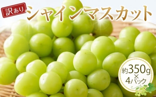 
            【訳あり】シャインマスカット 350g前後×4パック ※2026年8月下旬頃～9月下旬頃に順次発送予定【先行予約 シャインマスカット マスカット 葡萄 ぶどう 果物 フルーツ くだもの 鳥取県 北栄町 おすすめ 人気 送料無料】
          