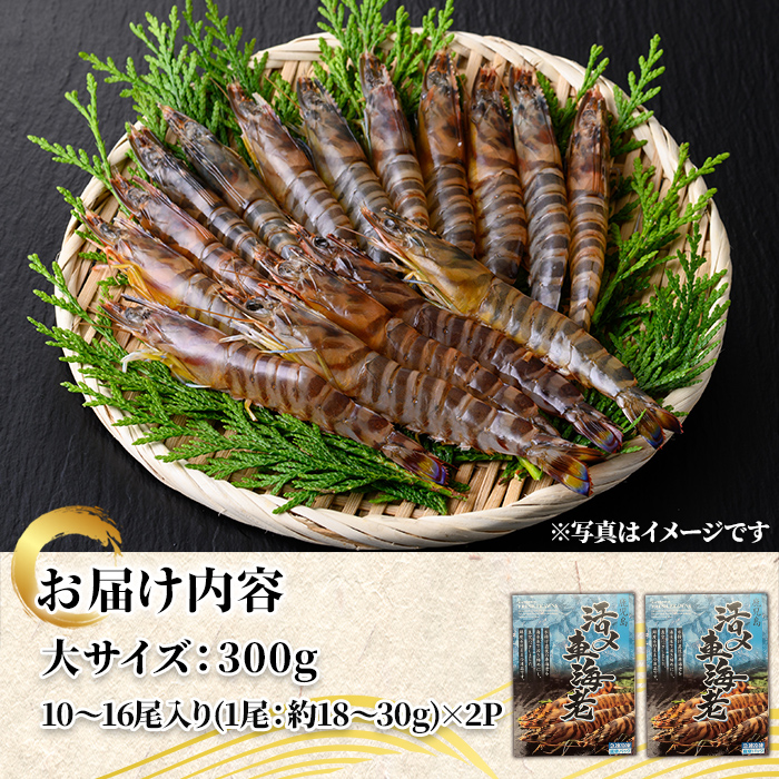 n435 鹿児島県産！活き〆冷凍車海老 ソフトシェル(大・計約600g) 化粧箱入り！ くるまえび エビ 海老 希少 海鮮 海産物 国産 九州産 急速冷凍 ギフト 車海老 真空パック 養殖 冷凍 【車