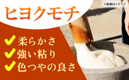 令和7年産 ヒヨクモチ 精米 6kg（3kg×2袋） 【大塚米穀店】 もち米 餅 佐賀県 江北町産[HBL114]