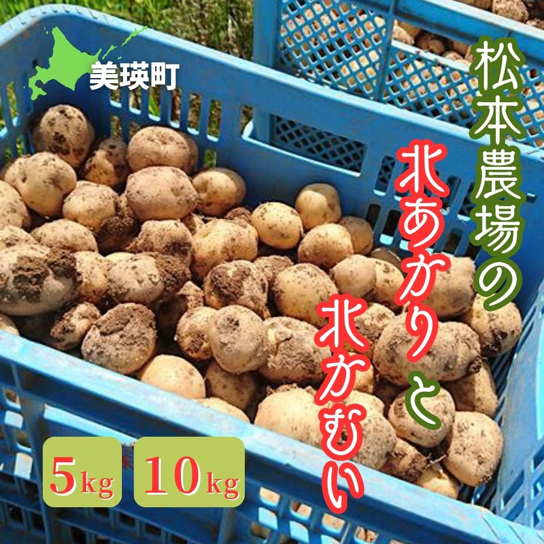 【ふるさと納税】【令和7年産予約受付！】松本農場の北あかり＆北かむい5kg・10kg| きたかむい キタカムイ 北あかり きたあかり キタアカリ 秋野菜 5kg 人気 おすすめ ランキング いも 芋 イモ じゃがいも ジャガイモ 野菜