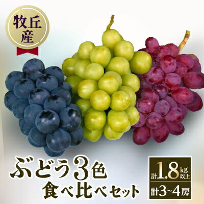 【ふるさと納税】【2025年先行予約】山梨直送!ぶどう3色(黒・緑・赤)食べ比べセット 3～4房(計1.8kg以上)_ ぶどう ブドウ 葡萄 山梨県 3色 食べ比べ セット 果物 くだもの フルーツ デザート 国産 産直 産地直送 ギフト 送料無料 【配送不可地域：離島・沖縄県】【1579254】