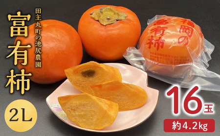 【予約受付中】12月より出荷！柿の王様 池尻農園 田主丸町の富有柿(冷蔵)2L 16玉入り 約4.2㎏_柿 約 4.2kg 富有柿 2L サイズ 16玉 入り 個包装 柿の王様 甘柿 人気 高い 国産 フルーツ 果物 高品質 天皇への献上品 福岡県 久留米市 田主丸 お取り寄せ お取り寄せフルーツ 冷蔵 生食 食品 食べ物 送料無料_Fk106