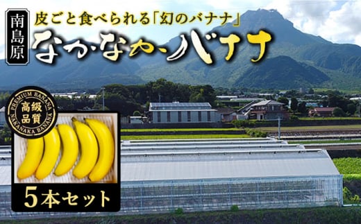 
【皮ごと食べられる！】なかなかバナナ 5本 / バナナ フルーツ 果物 定期便 フルーツ定期便 / 南島原市 / ミナサポ [SCW036]
