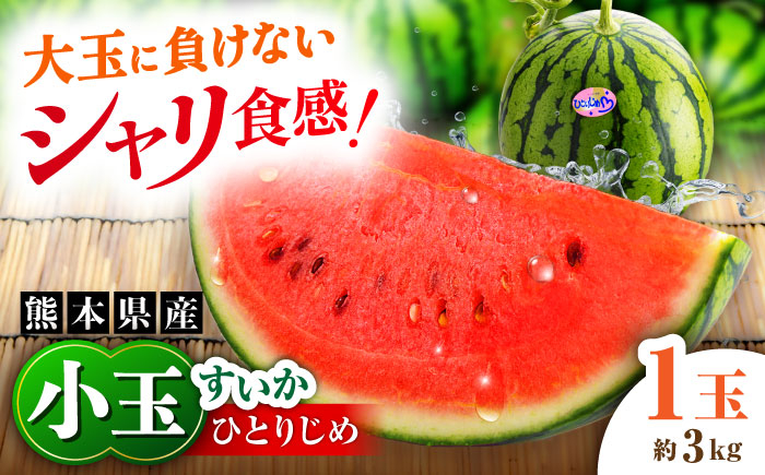 
            【2026年発送分 先行予約】【数量限定】小玉すいか 1玉入（約3kg） 　【一般社団法人クラッシーノこうし】 [AYAB023]
          