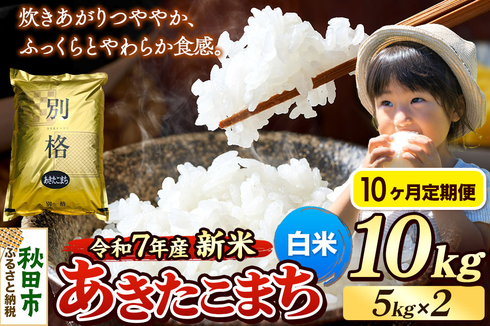 《令和7年産 新米》《定期便10ヶ月》 米 あきたこまち 10kg（5kg×2袋） 【白米】 秋田県産