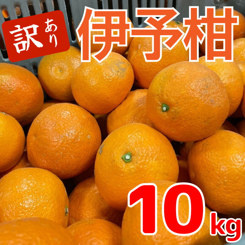 【ふるさと納税】 【先行予約】 訳あり みかん 伊予柑 約10kg 【1月中旬~発送予定】 | 訳あり 伊予柑 みかん ミカン 蜜柑 柑橘 10キロ 果物 フルーツ おすすめ 送料無料 ご当地 愛媛県 松山市