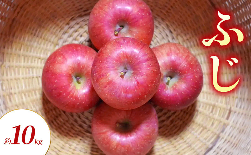 ふじ 約10kg りんご リンゴ 林檎 果物 フルーツ 長野県 長野 山ノ内町