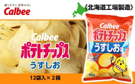 カルビーポテトチップス＜うすしお＞12袋入×2箱《北海道工場製造》 お菓子 スナック菓子 北海道産 じゃがいも ポテトチップス 北海道ふるさと納税 千歳市 ふるさと納税 北海道千歳市