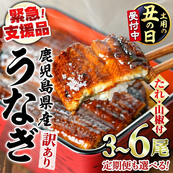 【ふるさと納税】【緊急支援品】＜丑の日発送・容量が選べる＞＜訳あり＞鰻の蒲焼き(無頭)＜計約480g～750g(3～6尾)/定期便・計約960g(3～4尾×2回)＞(タレ、山椒付) うなぎ ウナギ 鰻 蒲焼き 国産うなぎ 国産 九州産 鹿児島 鹿児島県産 人気 ランキング【アクアおおすみ】