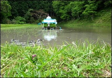 【令和7年産】ひがしとよ里山米 玄米10kg(5kg×2袋)
