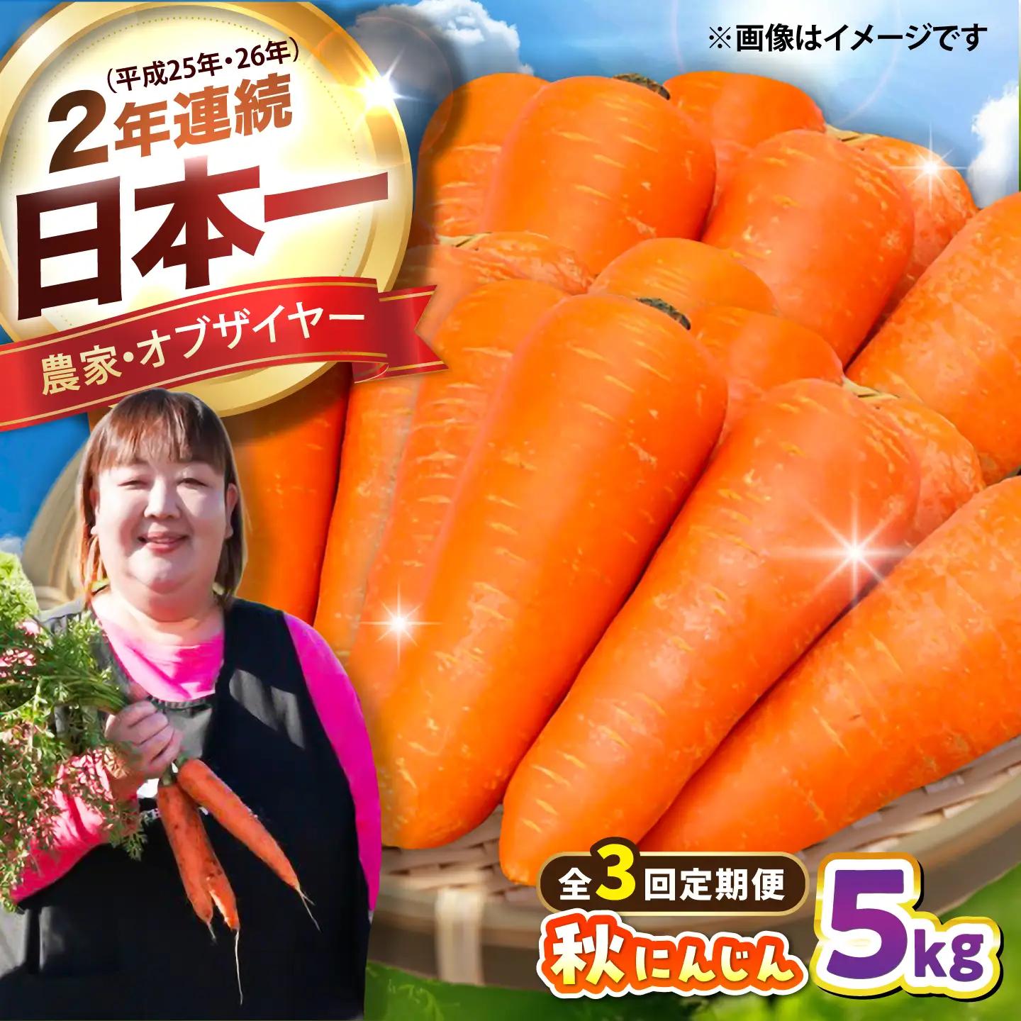 【先行予約】【2026年12月順次発送開始】全3回定期 秋にんじん5kg にんじん BHCW017