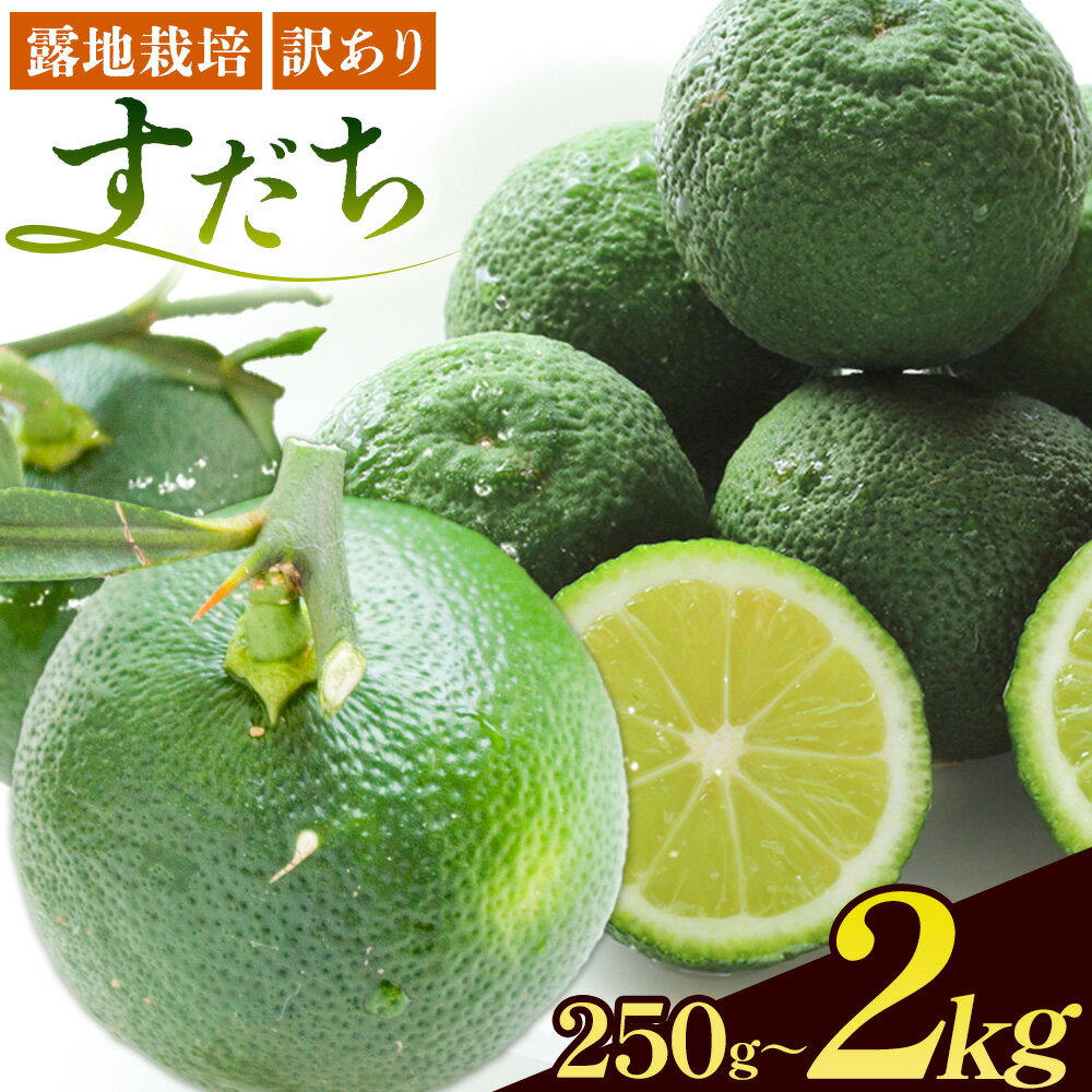 【ふるさと納税】数量限定 生産量日本一徳島県産 訳あり すだち B級 露地栽培 500g or 1kg or 2kg 一般財団法人さなごうち 《9月中旬-11月上旬頃に出荷予定(土日祝除く)》徳島 すだち ぶり 刺身 スダチ 露地 魚 豆腐 冷奴 焼き魚 天ぷら 刺身 徳島県 佐那河内村 5000円以下