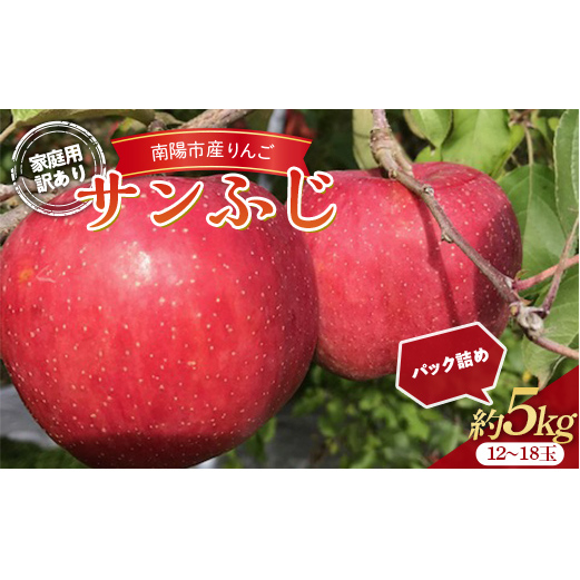 【令和6年産先行予約】 〈訳あり品 家庭用〉 りんご 「サンふじ」 約5kg (12～18玉) パック詰め 《令和6年11月中旬～12月上旬発送》 『マルタニ農園』 リンゴ 山形県 南陽市 [2159]