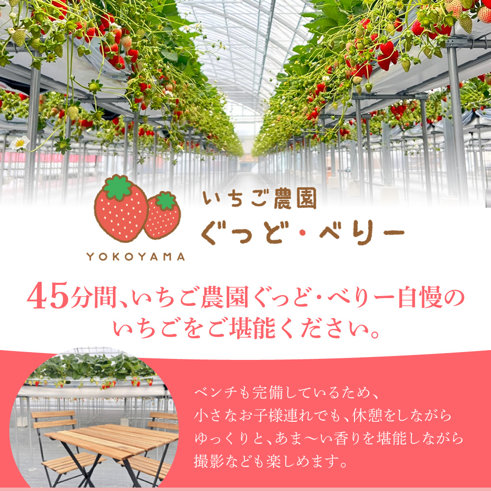いちご狩りペア入場券 いちご農園ぐっど・べりー 滋賀県 東近江市 B-A12 いちご狩り ペア チケット 滋賀 食べ比べ 9種類 45分間 体験
