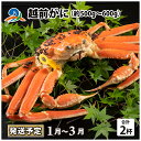 【ふるさと納税】【先行予約】越前がに（約500g～600g） 2杯【2025年1月～3月発送予定】 / 雄 ズワイガニ ずわいがに ズワイ蟹 越前ガニ ボイル 冷蔵 ご自宅用 カニ しゃぶしゃぶ 海鮮 カニすき カニ鍋 カニしゃぶ かに 国産 南越前町 送料無料