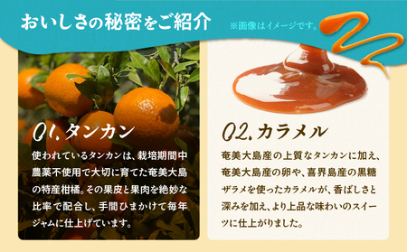 【 奄美 の 保護猫 支援（ 保護猫フード 10日分 ）】＋ 奄美産 タンカン の クレーム ブリュレ （ 4個 入り ） A071-002-01 菓子 スイーツ クリームブリュレ デザート 保護猫支