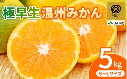 【三重ブランド認定品】 みかん JA 極早生 温州みかん 約5kg S～Lサイズ 光センサー選果 | みかん ミカン 蜜柑 温州みかん 温州ミカン 柑橘 フルーツ 果物 くだもの 甘い 旬 人気 果汁 濃厚 ジューシー デザート 産地直送 みかん 国産 お取り寄せ 新鮮 期間限定 季節限定 先行予約 みかん おすすめ 三重県 熊野市【isen0002】