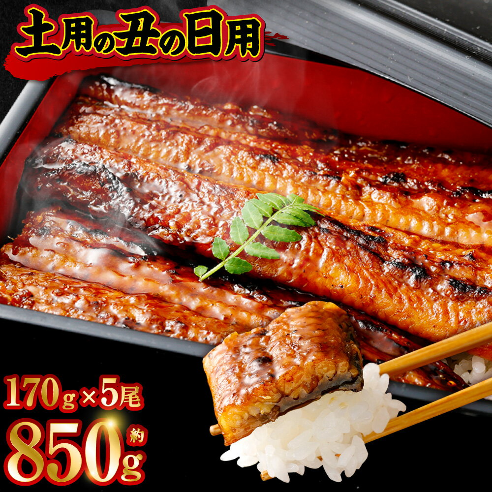 【ふるさと納税】【数量限定】先行予約 土用の丑の日用九州産うなぎ蒲焼 計約850g（約170g×5尾 ）【2025年7月発送】 うなぎ 蒲焼き うなぎ 無頭 蒲焼き タレ付き 薩摩川内うなぎ 蒲焼 うなぎ蒲焼 冷凍 鹿児島 国産 鰻 ウナギ 薩摩川内市 ふるさと納税