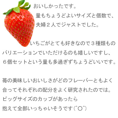 イチゴ農家 Bell Farm のこだわりイチゴ アイスクリーム詰め合わせセット　(3種×2個)6個【配送不可地域：離島】