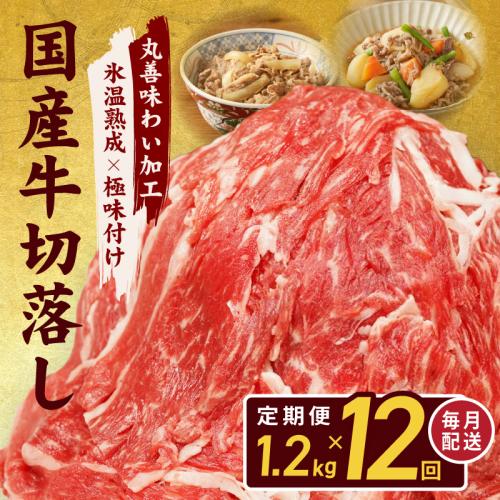 【定期便】国産 牛肉 切り落とし 定期便 1.2kg×全12回 総量 14.4kg【国産 牛肉 氷温熟成×極味付け 訳あり サイズ不揃い カレー 牛丼 野菜炒め 肉じゃが 家計応援 毎月配送コース】 099Z308