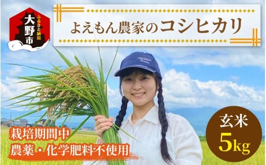 【先行予約】【令和7年産 新米】よえもん農家の玄米 ×5kg【栽培期間中農薬・化学肥料不使用】