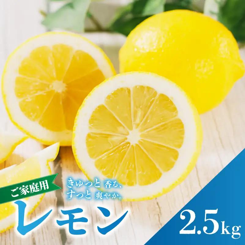 【レモン】 【2027年2月上旬から発送】 家庭用 イエローレモン 約2.5kg 【RNK0112_y】