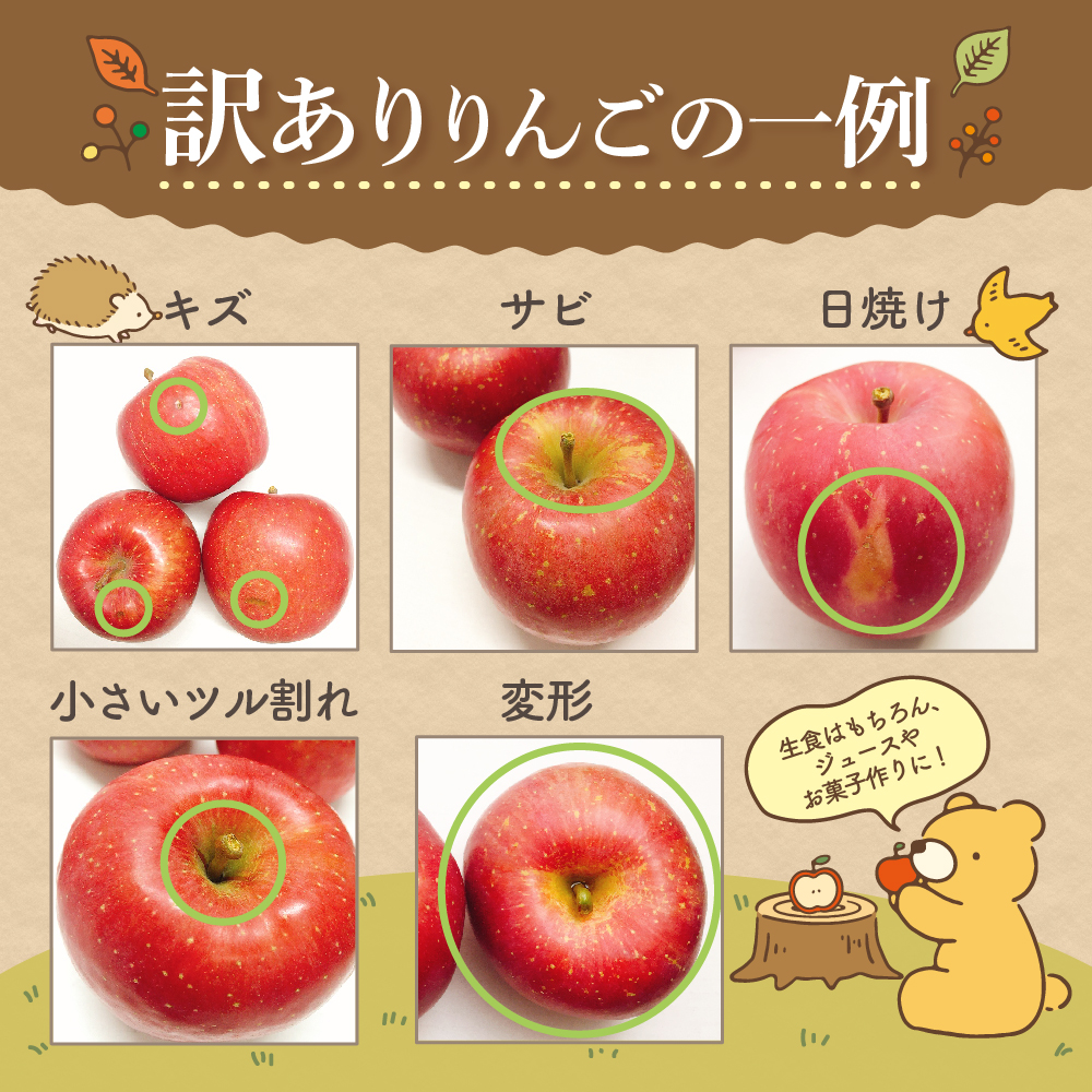 【2026年3月下旬発送】 サンふじ 青森 訳あり りんご 10kg 程度 五所川原 不揃い