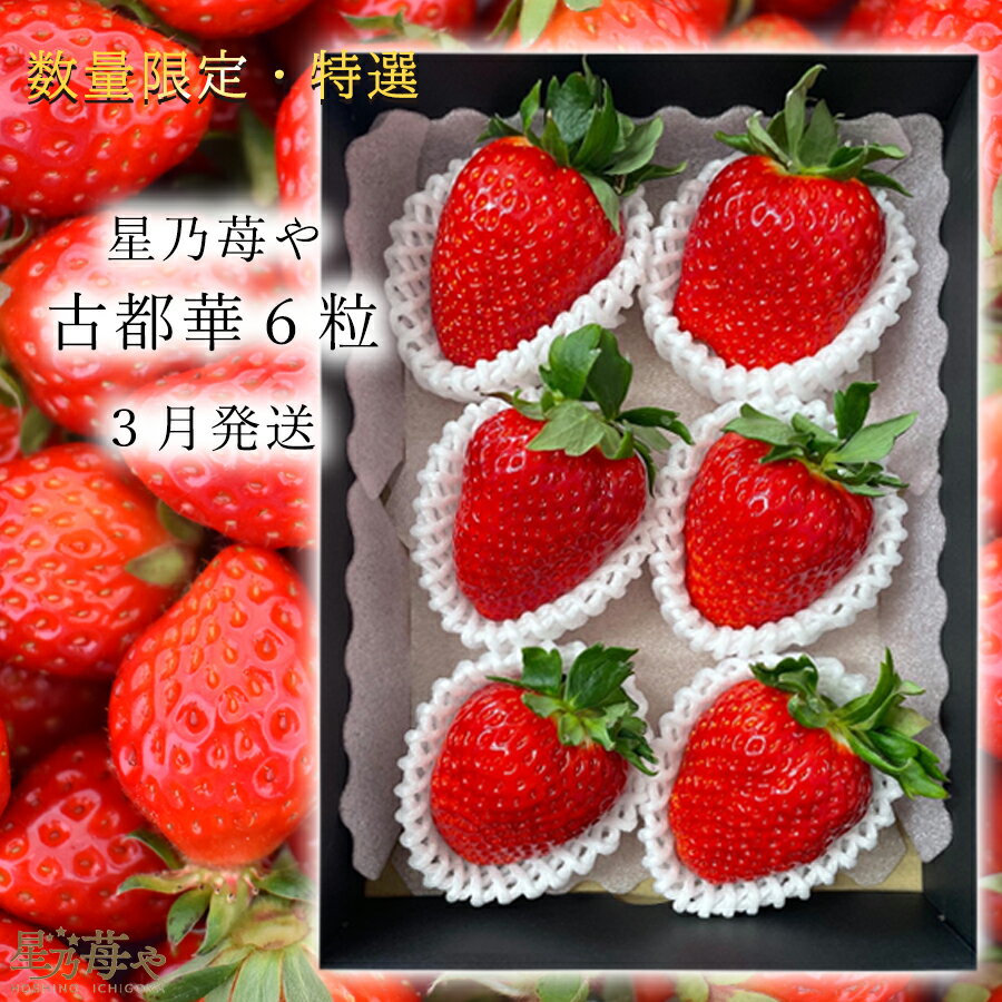 【ふるさと納税】先行予約 特選大粒いちご 奈良県のいちご古都華1パック 2026年3月発送 // /苺 いちご イチゴ 古都華 奈良 奈良県 広陵町 生産者直送 直送 厳選 数量限定 旬 フルーツ 甘い 完熟 果物