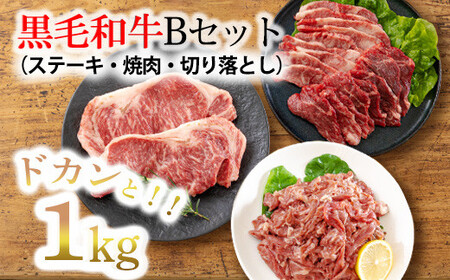 黒毛和牛Bセット(1kg) ステーキ・焼肉・切り落としの牛肉詰め合わせ TF0562-P00020