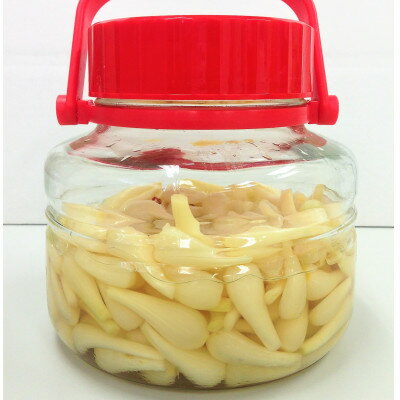 【ふるさと納税】みなみの里特製らっきょう漬け(約1kg)【国産 らっきょう らっきょ 漬物 おつまみ 福岡県 筑前町】【価格改定】