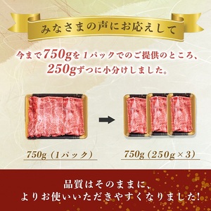 黒毛和牛 肩ロース750g すき焼き すき焼き
