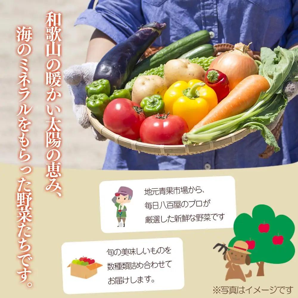 野菜セット【定期便 / 全6回：奇数月お届け】旬の新鮮野菜B（たっぷり13種類以上）