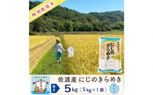 【新米予約 9か月定期便】佐渡島産にじのきらめき 無洗米5Kg 令和7年 特別栽培米 農家直送