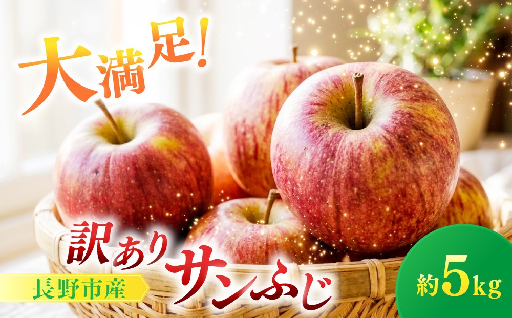 
                  サンふじ（訳あり）5kg |  りんご フルーツ 果物 サンふじ 訳あり 人気 おすすめ ギフト プレゼント 送料無料 長野県 長野市 信州 信濃 ふるさと納税
                