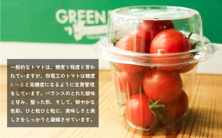 トマト ミディトマト 1.5kg (250g×6) グリーンバース 2024年 11月～ 発送予定 野菜 やさい 果物 スイーツ ジュース トマトジュース パスタ スパゲッティ ソース サラダ ドレッ