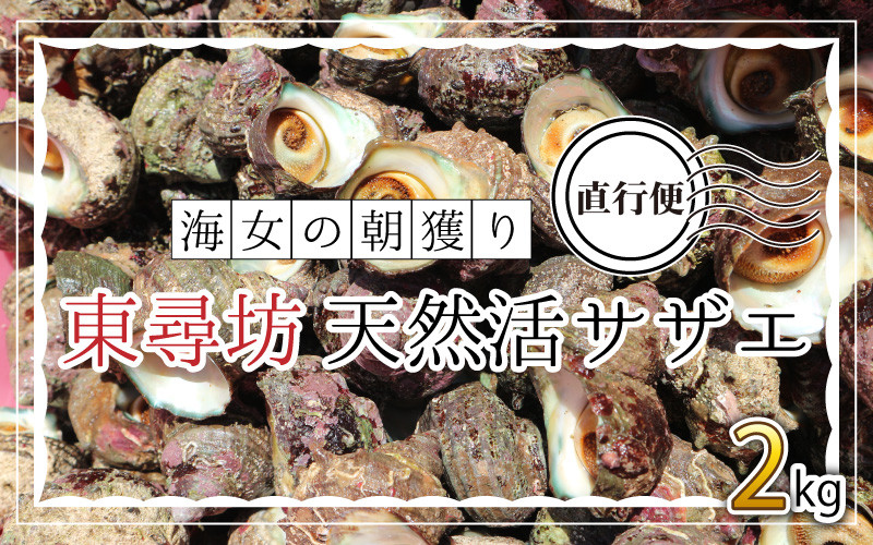 
            海女の朝獲り直行便 東尋坊天然活サザエ2kg 【さざえ 栄螺 貝 天然 魚貝 海産物 海鮮 鮮魚 刺身 つぼ焼き BBQ 国産 産地直送】[A-6006]
          