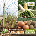 【ふるさと納税】十勝幕別 北の畑のオーナーさん 人気の旬野菜 年3回定期便［2025年5月出荷開始］北海道ホープランド農場 【 アスパラ とうもろこし コーン じゃがいも ジャガイモ 玉ねぎ 野菜 定期便 】　定期便　お届け：2025年5月出荷開始