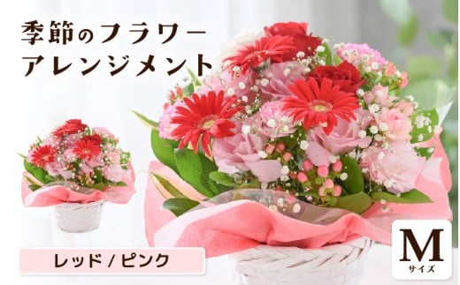 選べるカラー 季節のフラワーアレンジメント M (レッド・ピンク) お花 フラワー 花束 ギフト 生花 プレゼント 花束 花 記念日 お祝い 入学式 卒業祝い 結婚式 ウエディング フラワーギフト 贈り物 贈答 お祝い事 [A-20702_01]