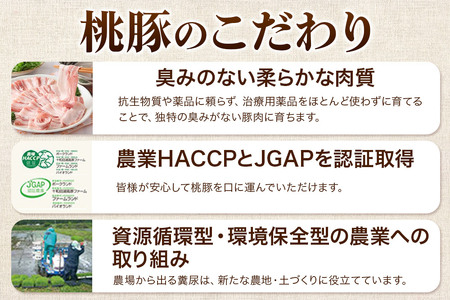 桃豚2種のハム・ベーコンセット 各500g×1個 計2個 豚肉 秋田県 小坂町