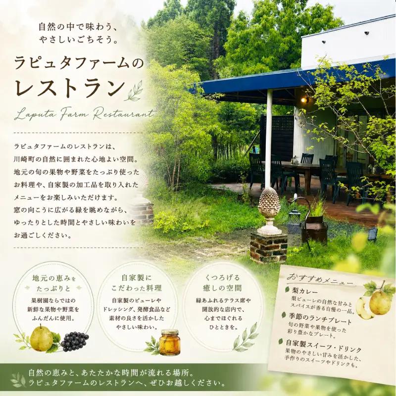 果樹園レストラン自慢の梨カレー 3個セット カレー｜レトルト RPT