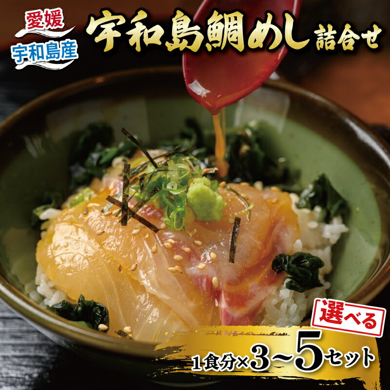 【ふるさと納税】 海鮮丼 【10営業日以内発送】 鯛 宇和島鯛めし 選べる 内容量 3~5食セット 辻水産 生鯛めし 真鯛 マダイ タイ 刺身 お刺身 刺し身 漬け丼 漬け 漬丼 丼 郷土料理 鯛飯 海鮮 人気 魚介 人気加工品 冷凍 小分け パック お手軽 便利 ご当地 国産 愛媛 宇和島