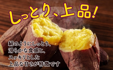 【オンライン決済限定】野菜 新しのつ産 さつまいも（シルクスイート2.5kg） サツマイモ 芋 イモ 甘い 北海道
