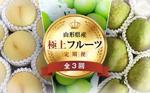 《2025年先行予約》 山形県 至高のフルーツ！ 山形県極上フルーツ定期便 全3回 FSY-2012