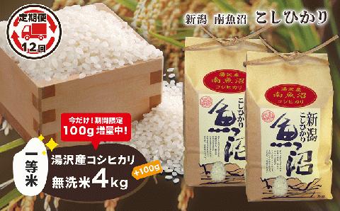 【12ヶ月定期便】令和5年産 湯沢産コシヒカリ＜無洗米＞4kg（2kg×2袋）精米したてのお米をお届け 12回 【期間限定100g増量中！】