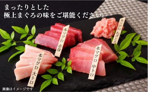 [A133p］【全6回定期便 総計2.88kg】長崎県産 本マグロ (中トロ・赤身) 計480g以上 海鮮丼のタレ付き【本家永松家】マグロ まぐろ 鮪 中トロ 中とろ 赤身 刺身 海鮮丼 定期便 頒布会