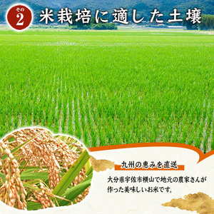 ヒノヒカリ 白米 (計5kg) お米 ごはん ご飯 ひのひかり 数量限定 【117800101】【ジョイライス大分】